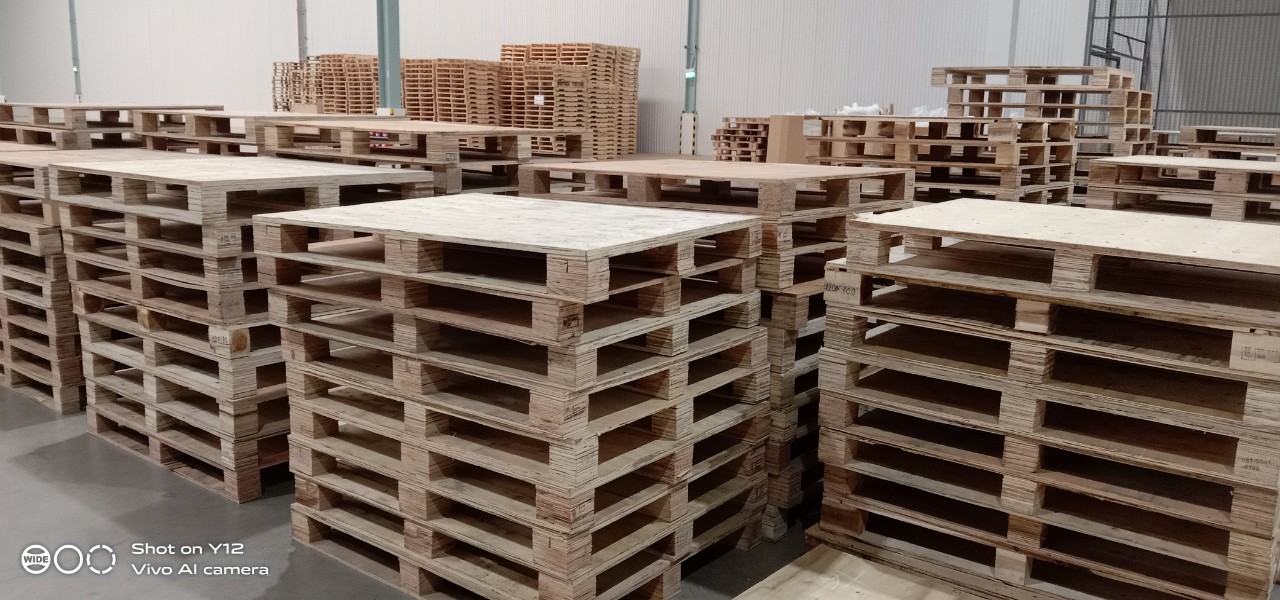 Bán pallet gỗ cũ tại Hà Nội mới đến 95%